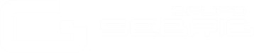 Logo Grupo Sebrig